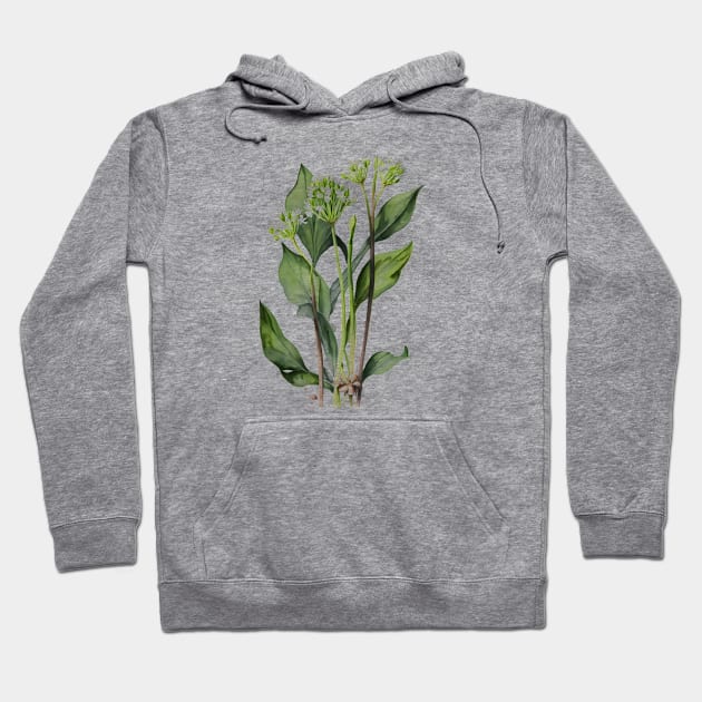 Wild garlic Hoodie by MBNEWS